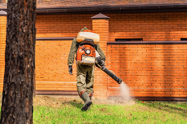 Bed Bug Clearance Verification and Documentation in Tamaqua